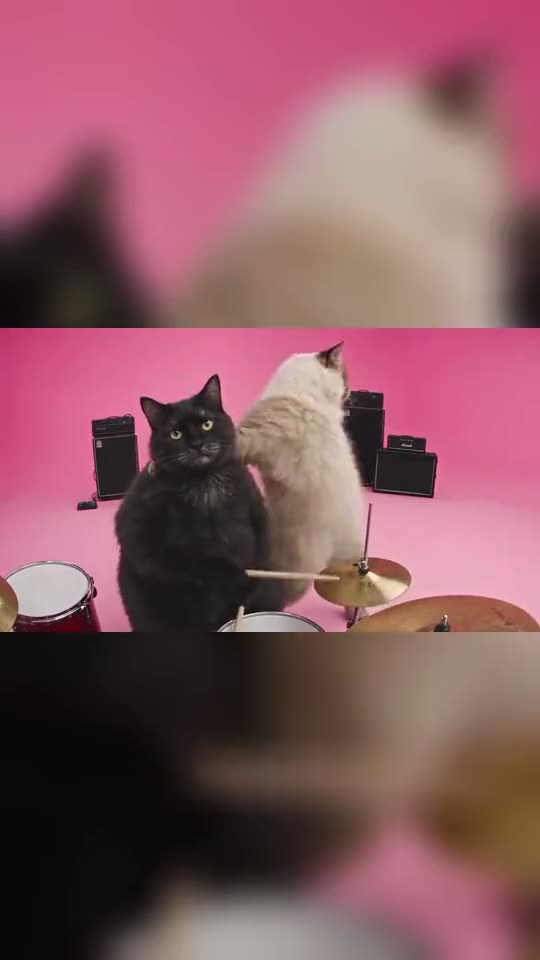 APT Pink Studio Duo input