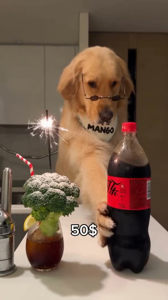 Dog Bartender AI video example — Your dog takes the bartender’s spot at a kitchen counter while three drinks escalate from plain cola to an…